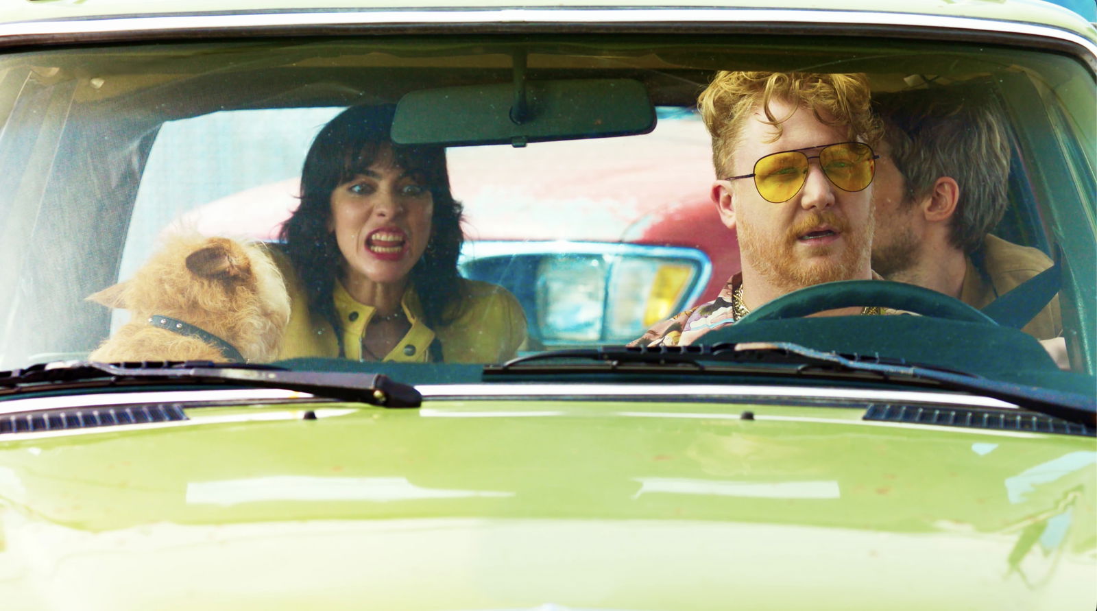 Bitcoin wallet of mullvd (2) 사진